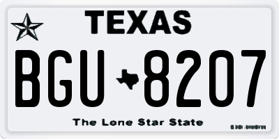 TX license plate BGU8207