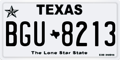 TX license plate BGU8213