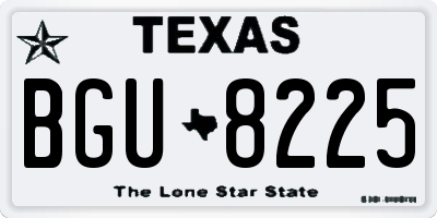 TX license plate BGU8225