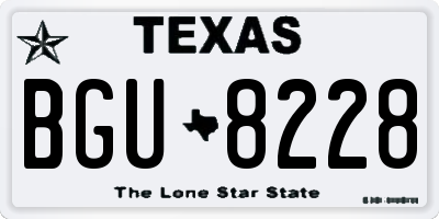 TX license plate BGU8228