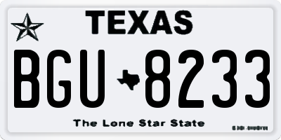 TX license plate BGU8233
