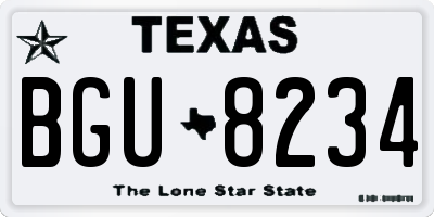 TX license plate BGU8234