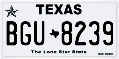 TX license plate BGU8239