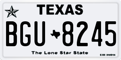 TX license plate BGU8245