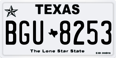 TX license plate BGU8253