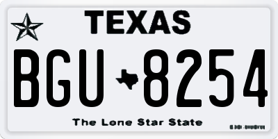 TX license plate BGU8254