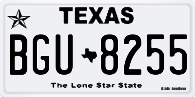 TX license plate BGU8255