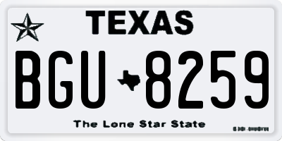 TX license plate BGU8259