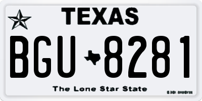 TX license plate BGU8281