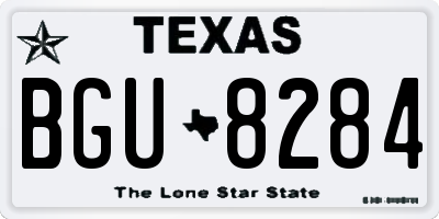 TX license plate BGU8284