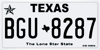 TX license plate BGU8287
