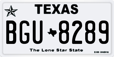 TX license plate BGU8289