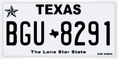 TX license plate BGU8291