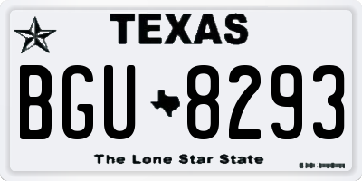 TX license plate BGU8293