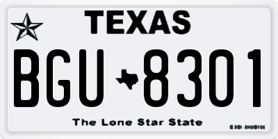 TX license plate BGU8301