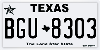 TX license plate BGU8303