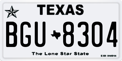 TX license plate BGU8304