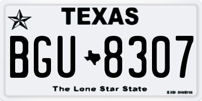 TX license plate BGU8307
