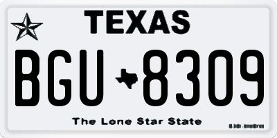 TX license plate BGU8309