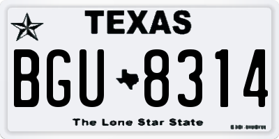 TX license plate BGU8314