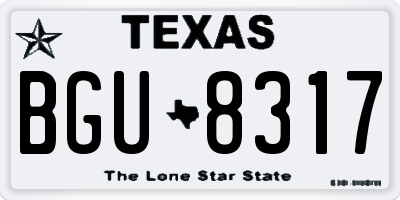 TX license plate BGU8317