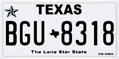 TX license plate BGU8318
