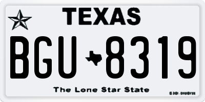 TX license plate BGU8319
