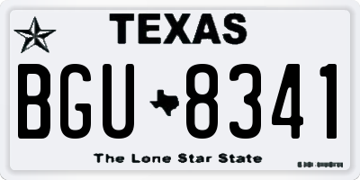 TX license plate BGU8341