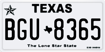 TX license plate BGU8365