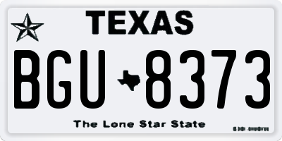 TX license plate BGU8373