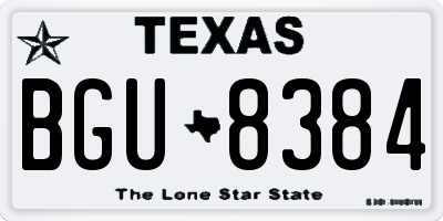 TX license plate BGU8384