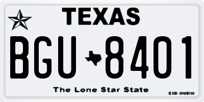 TX license plate BGU8401