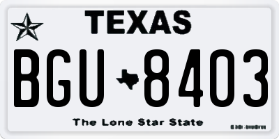TX license plate BGU8403