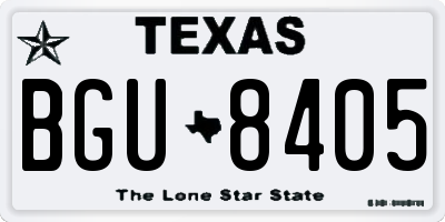 TX license plate BGU8405
