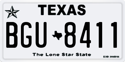 TX license plate BGU8411
