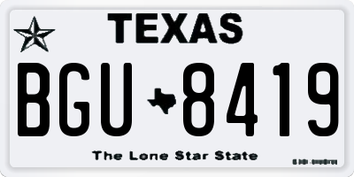 TX license plate BGU8419