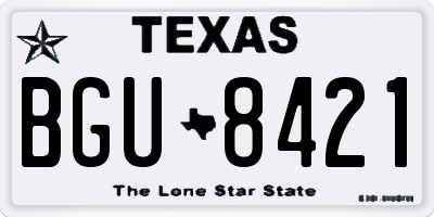 TX license plate BGU8421