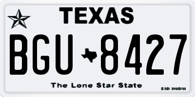TX license plate BGU8427