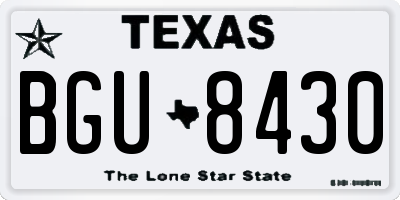 TX license plate BGU8430