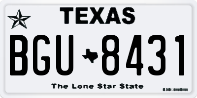 TX license plate BGU8431