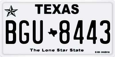 TX license plate BGU8443