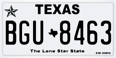 TX license plate BGU8463