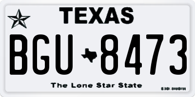 TX license plate BGU8473