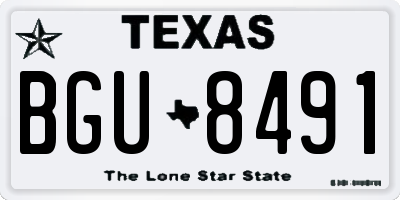 TX license plate BGU8491