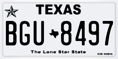 TX license plate BGU8497