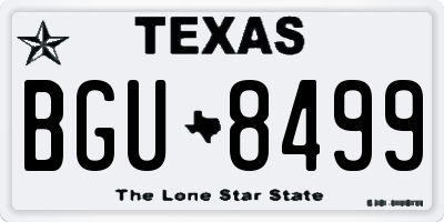 TX license plate BGU8499
