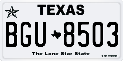 TX license plate BGU8503