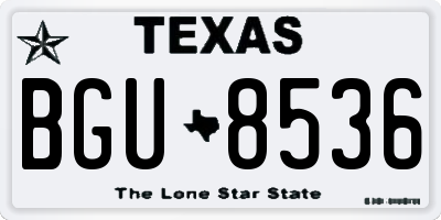 TX license plate BGU8536