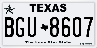 TX license plate BGU8607