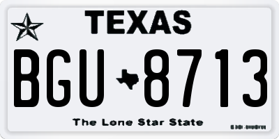 TX license plate BGU8713
